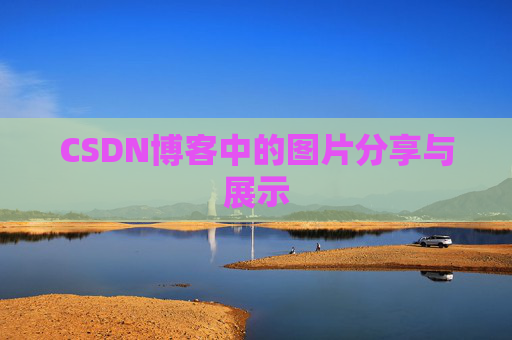 CSDN博客中的图片分享与展示